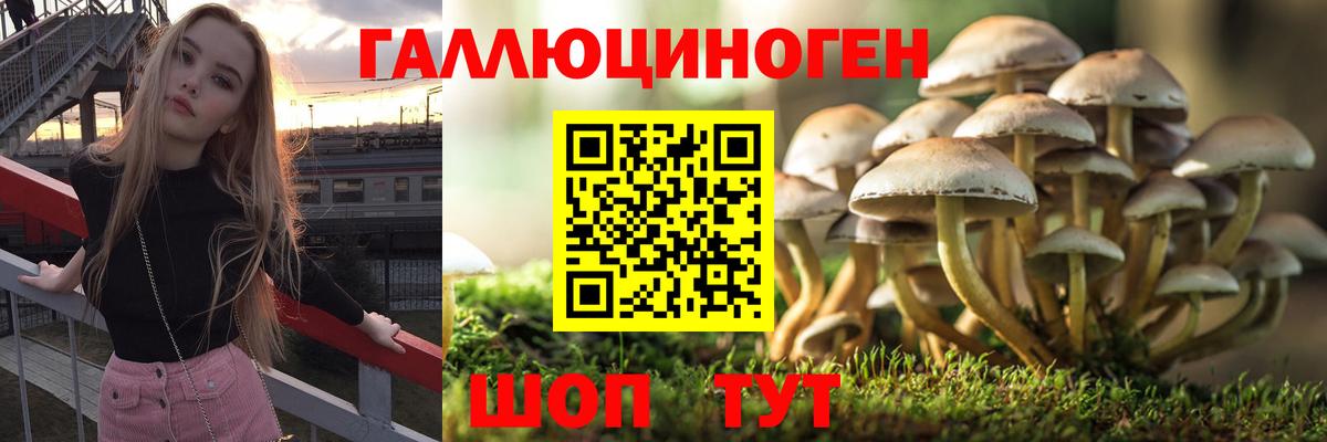 Краснокамск  Галлюциногенные грибы Psilocybine cubensis  Вход с VPN 
